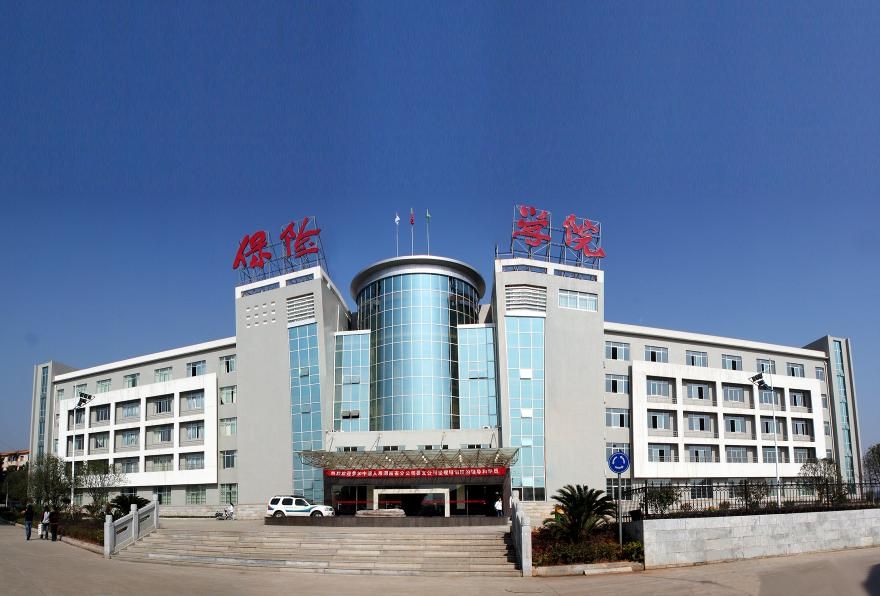 湖南保险职业学院有哪些专业?
